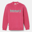 140045492_ai-2023-timberland-tb0a65dd-ls-est-1973-crew-bb-sweatshirted2-vivacious-wb_3_p.jpg