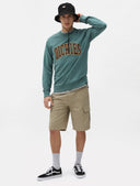 141182602_replace-dickies-millerville-short-dk0a4xedkhk1-khaki_3_p.jpg
