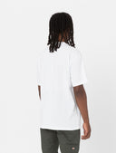 141389189_ai-2023-dickies-luray-dk0a4yfcwhx100-white_2_p.jpg