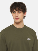 141793855_replace-dickies-summerdale-ss-dk0a4yamgr-military-green_3_p.jpg