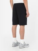142690105_replace-dickies-mapleton-short-dk0a4y83blk1-black_3_p.jpg