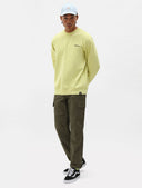 143727817_replace-dickies-millerville-dk0a4xdumimitary-green_1_p.jpg