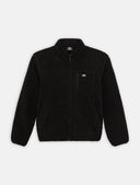 144063228_replace-dickies-mount-hope-fleece-dk0a4yeeblk-black_3_p.jpg
