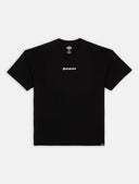 144073488_replace-dickies-enterprise-tee-dk0a4yrnblk-black.jpg