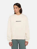 145082382_replace-dickies-enterprise-dk0a4z4kf90-whitecap-grey_1_p.jpg