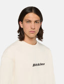 145082382_replace-dickies-enterprise-dk0a4z4kf90-whitecap-grey_2_p.jpg
