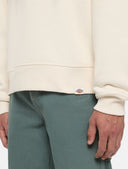 145082382_replace-dickies-enterprise-dk0a4z4kf90-whitecap-grey_6_p.jpg