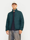 145900977_replace-jackjones-12256985-packable-puffermagical-forest.jpg