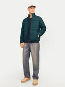 145900977_replace-jackjones-12256985-packable-puffermagical-forest_2_p.jpg