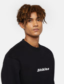 146376093_replace-dickies-enterprise-dk0a4z4kblk1-black_1_p.jpg