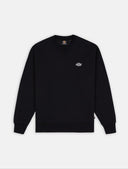 146628428_ai-2023-dickies-summerdale-sweatshirt-dk0a4y6qblack.jpg