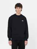 146628428_ai-2023-dickies-summerdale-sweatshirt-dk0a4y6qblack_1_p.jpg