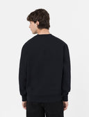 146628428_ai-2023-dickies-summerdale-sweatshirt-dk0a4y6qblack_2_p.jpg