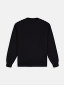 146628428_ai-2023-dickies-summerdale-sweatshirt-dk0a4y6qblack_4_p.jpg