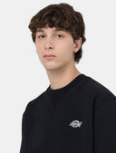 146628428_ai-2023-dickies-summerdale-sweatshirt-dk0a4y6qblack_5_p.jpg