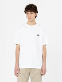 146959394_replace-dickies-summerdale-dk0a4yawhx-white.jpg