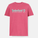 147302503_ai-2023-timberland-tb0a6se1-ss-est-1973-crew-teeed2-vivacious-wb_5_p.jpg