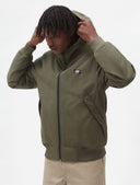 148876932_replace-dickies-new-sarpy-dk0a4xg8mgr1-military-green_1_p.jpg