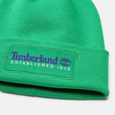 148974748_ai-2023-timberland-tb0a2ptd-established-1973h31-celtic-green_1_p.jpg