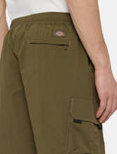 149649228_replace-dickies-jackson-cargo-short-dk0a4yacmgr-military-green_4_p.jpg