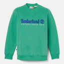 149858661_ai-2023-timberland-tb0a65dd-ls-est-1973-crew-bb-sweatshirted3-celtic-green_3_p.jpg