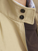 149917565_pe-2024-jackjones-premium-12251730-blurudyfield-of-rye_4_p.jpg