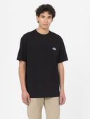 159660_replace-dickies-summerdale-dk0a4yablk-black_1_p.jpg