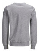 18837670_replace-jackjones-12181903-crew-necklight-grey-melange_5_p.jpg