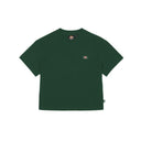 20667491_replace-dickies-oakport-boxy-dk0a4y8lpin1-pinr-needle.jpg