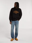 20982969_ai-2025-dickies-thomasville-dk0a4xykl231khaki-tinted-blue_2_p.jpg