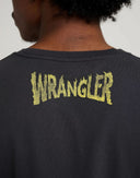 21151451_ai-2025-wrangler-112378547-teewashed-black_5_p.jpg