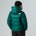 21298428_ai-2025-the-north-face-nf0a4r2wgm01-hmlyn-down-parkahunter-green_3_p.jpg