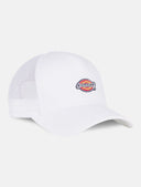 21521172_replace-dickies-hanston-trucker-dk0a4yv3c581-cloud.jpg