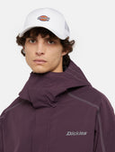21521172_replace-dickies-hanston-trucker-dk0a4yv3c581-cloud_3_p.jpg