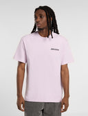 22020128_ai-2025-dickies-statesville-dk0a87qpk731orchid.jpg