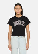 22119028_ai-2024-dickies-aitkin-tee-w-dk0a4ys8j941-blkbplum.jpg