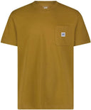 22573704_ai-2024-lee-112355606glazed-ginger.jpg