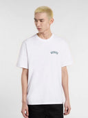 22764824_pe-2025-dickies-circle-dk0a4z950wh1white.jpg