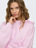22800681_ai-2026-only-15317985-sweat-hoodiewinsome-orchid_1_p.jpg