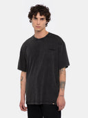 22891970_replace-dickies-plentywood-tee-dk0a866bh861acid-black.jpg