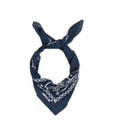 22988681_ai-2026-levis-77138-0630-paislaynavy.jpg