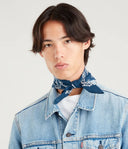 22988681_ai-2026-levis-77138-0630-paislaynavy_2_p.jpg