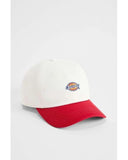 23748504_replace-dickies-hardwick-2-tone-dk0a4z6lc481-egret.jpg