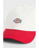 23748504_replace-dickies-hardwick-2-tone-dk0a4z6lc481-egret_2_p.jpg
