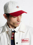 23748504_replace-dickies-hardwick-2-tone-dk0a4z6lc481-egret_3_p.jpg