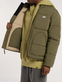 24506807_ai-2025-dickies-summerdale-puffer-dk0a87ogmgr1military-green_5_p.jpg