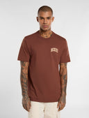 24602860_replace-dickies-aitkin-chest-dk0a4y8ok471-cappuccino.jpg