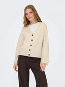 24903881_ai-2025-only-15358596-hazelwhitecap-gray.jpg