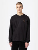 25376046_replace-dickies-mapleton-ls-tee-dk0a4y4rblk1blaxk.jpg