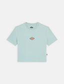 25684938_replace-dickies-maple-valley-dk0a4xpoj591-blue-surf.jpg